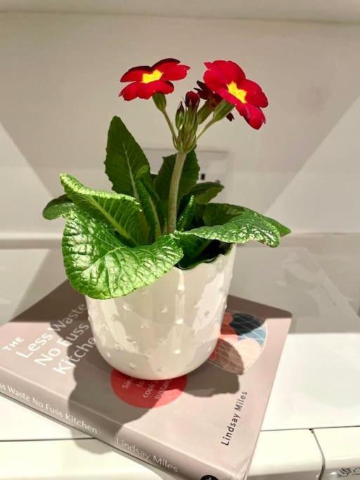 A Charming One Double Bedroom Flat * Londra